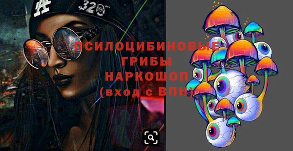 apvp Абаза