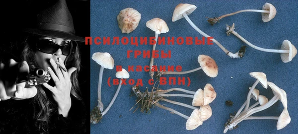 молекула духа Абинск