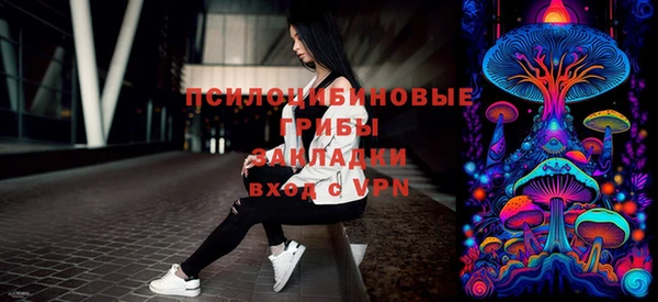 молекула духа Абинск