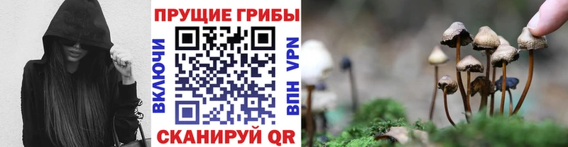 Псилоцибиновые грибы мухоморы кракен ТОР Лодейное Поле